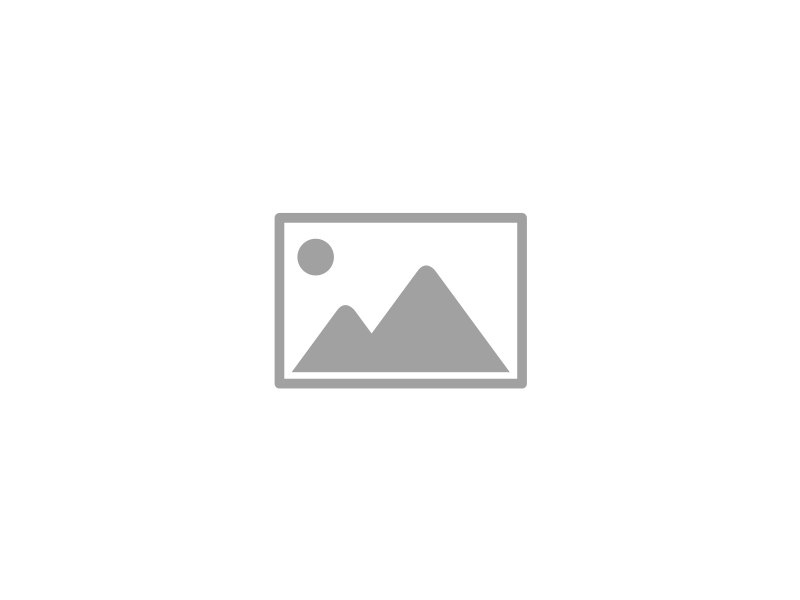 Millionaire_sample2